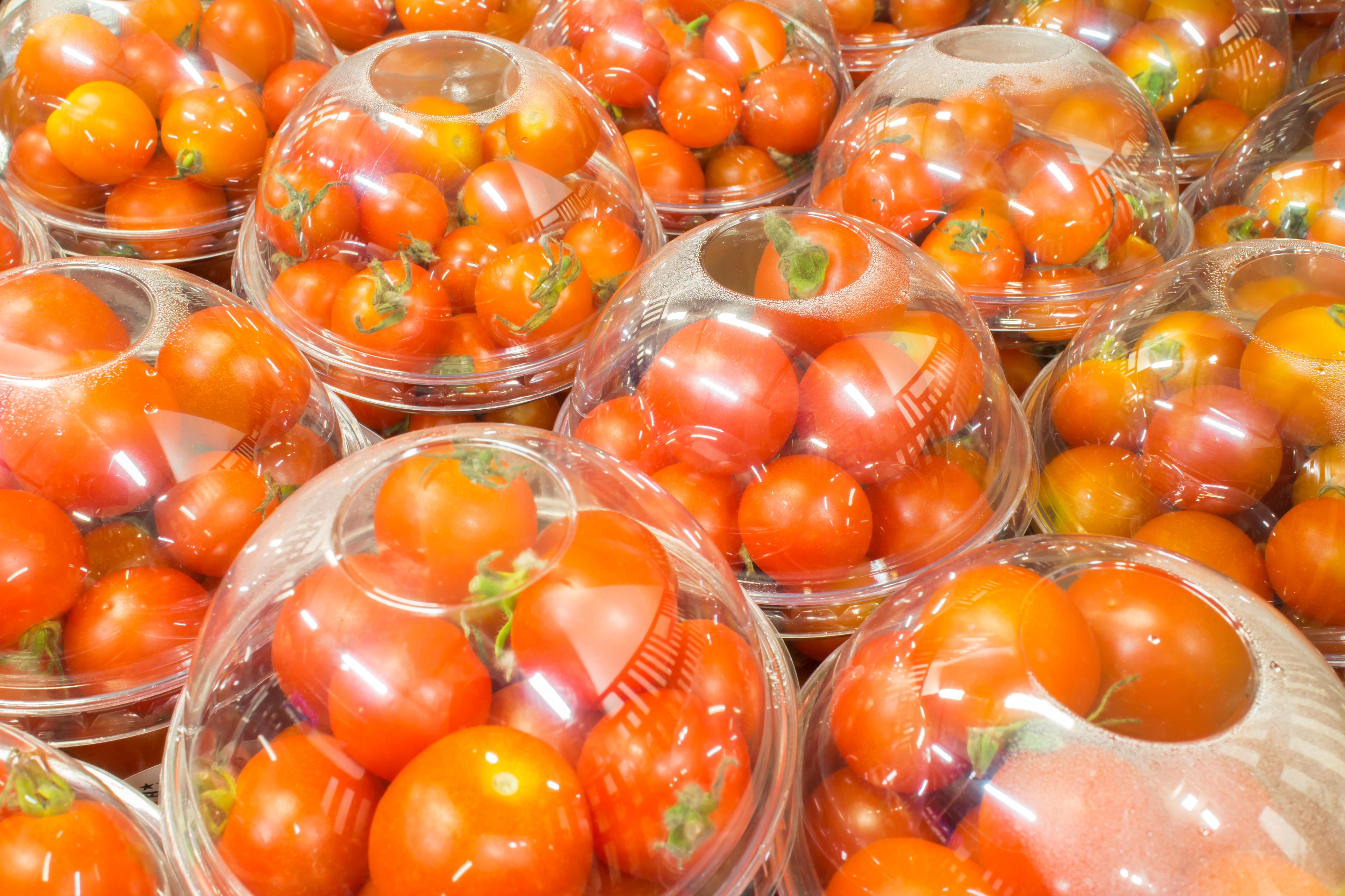 tomates-packaging